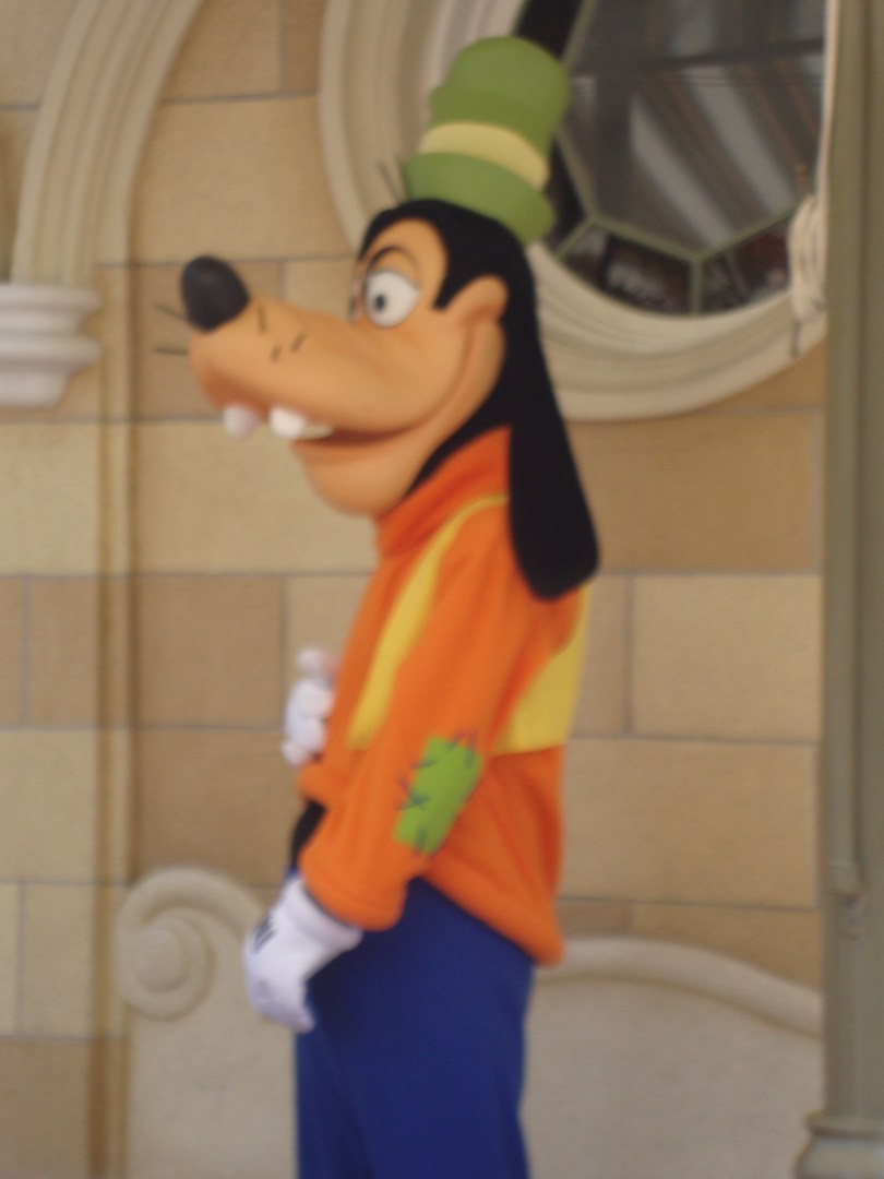 Disney character Goofy