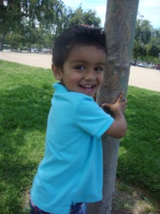 Cute little boy boy holding on to tree