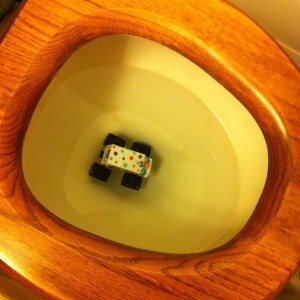 car in toilet toy in toilet