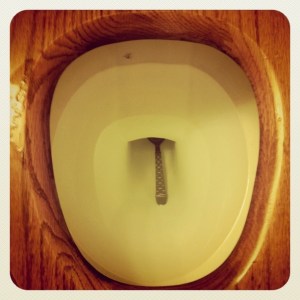 spoon in toilet