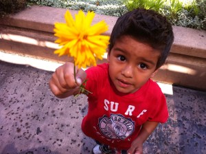 boy gives mama flower