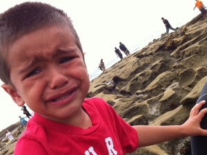 little boy crying boy crying