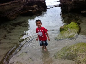 little boy in water little boy in beach